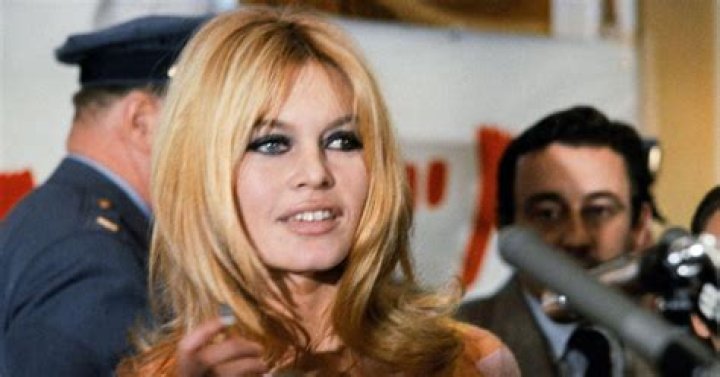 What Does Brigitte Bardot's Son Do? Uncovering The Life And Career Of Nicolas Bardot