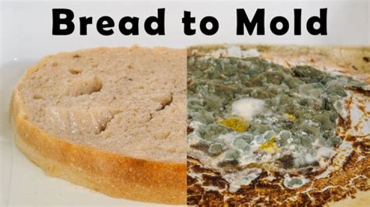Quick Answer: What Does Moldy Bread Taste Like