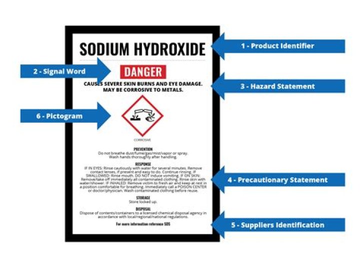 What Does Sds Stand For