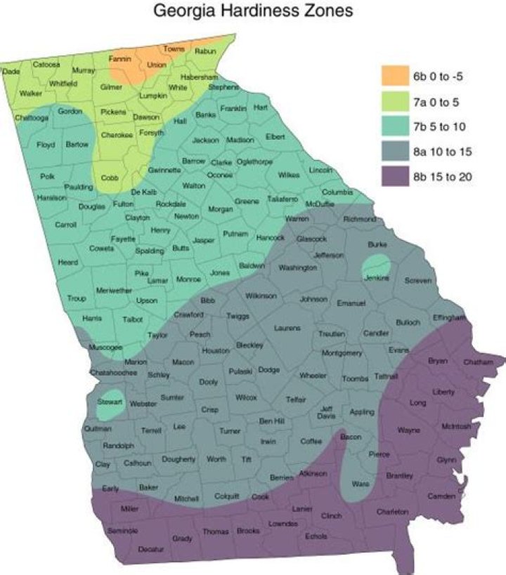 What Growing Zone Is Georgia