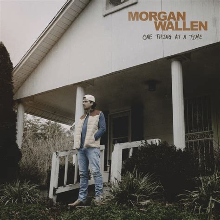 What Really Happened That Cost Morgan Wallen His Career?