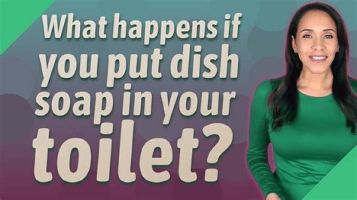Question: What Happens If You Put Dish Soap In Your Toilet