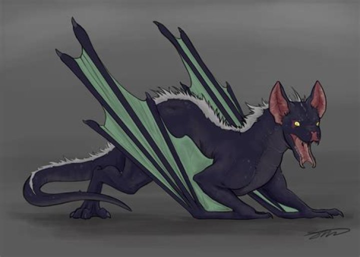 Quick Answer: What Is A Bat Dragon