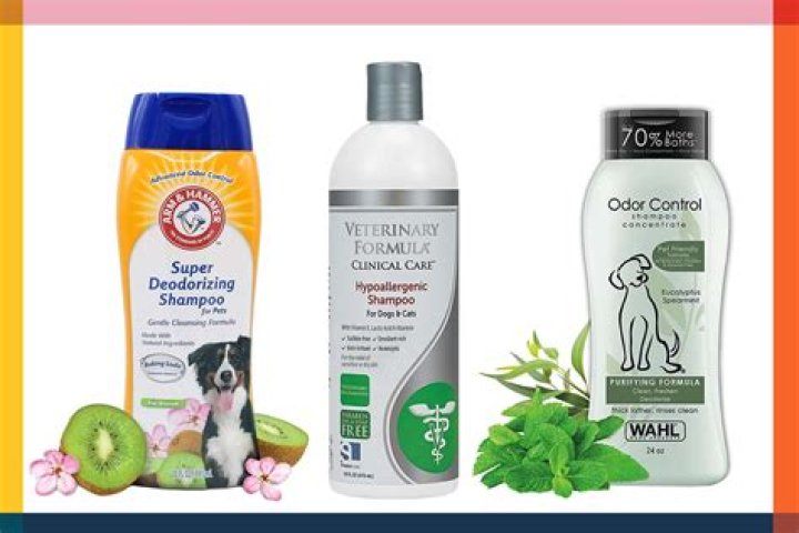 Finding The Best Dog Shampoo For Dry Skin: A Comprehensive Guide