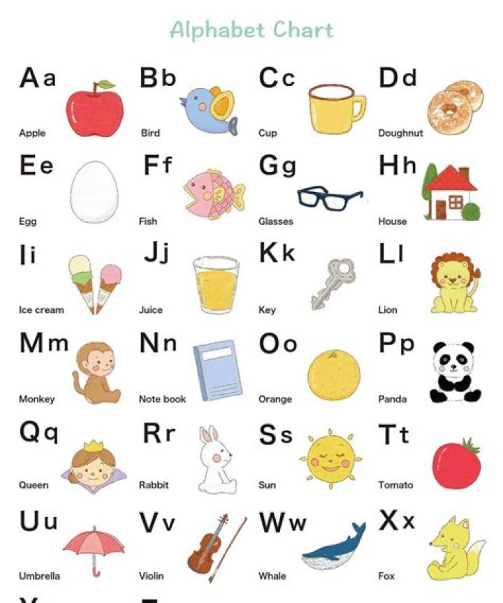 What Is Alphabets Net Worth