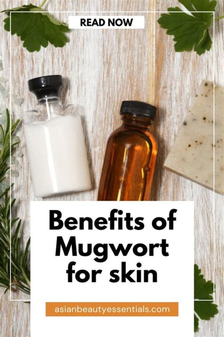 Mugwort: The Secret Skincare Ingredient That's Taking Over Korean Beauty