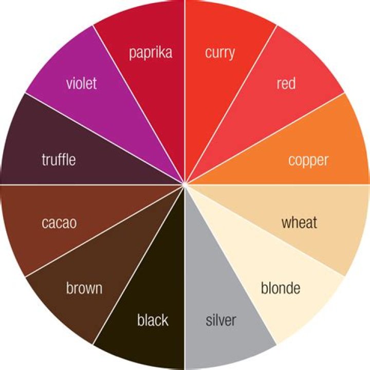 What Is The Complementary Color Of Brown