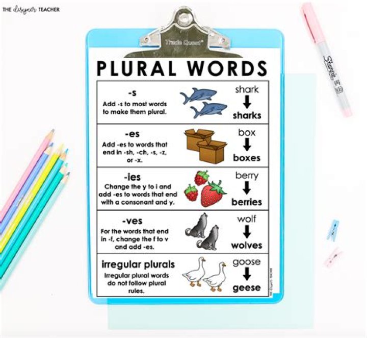 Quick Answer: What Is The Plural For Baby