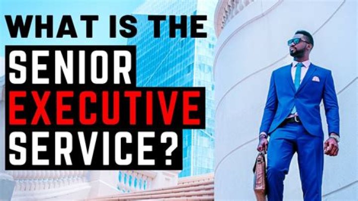 Quick Answer: What Is The Senior Executive Service Program