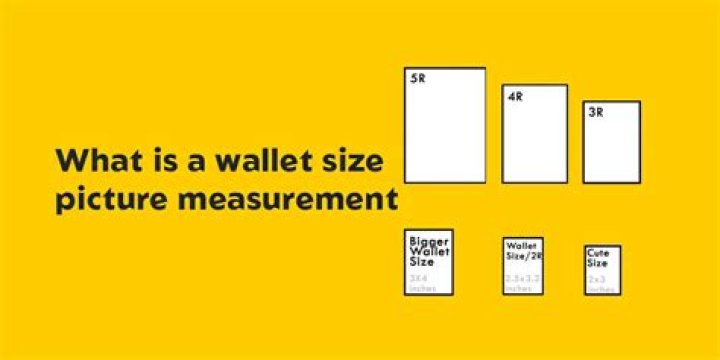 Quick Answer: What Is Wallet Size