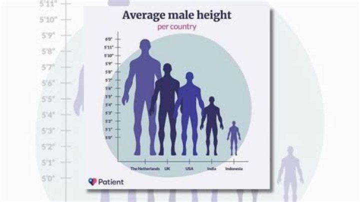 What's Up With Robert Height's Reputation: A Comprehensive Breakdown