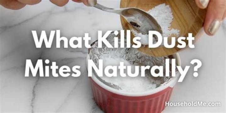 Question: What Kills Dust Mites Naturally