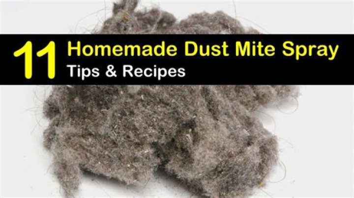 Quick Answer: What Kills Dust Mites Vinegar