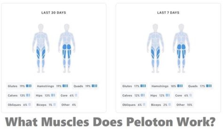 Question: What Muscles Does Peloton Work