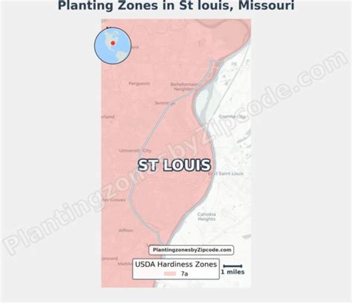 Quick Answer: What Planting Zone Is St Louis