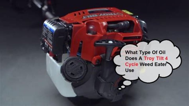 Quick Answer: What Type Of Oil Does A Troy Bilt 4 Cycle Weed Eater Use
