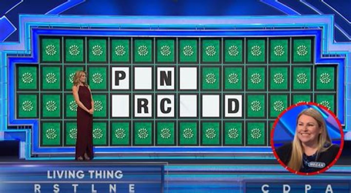 ‘Wheel of Fortune’ contestant ‘robbed’ of $40,000 after allegedly missing bonus puzzle