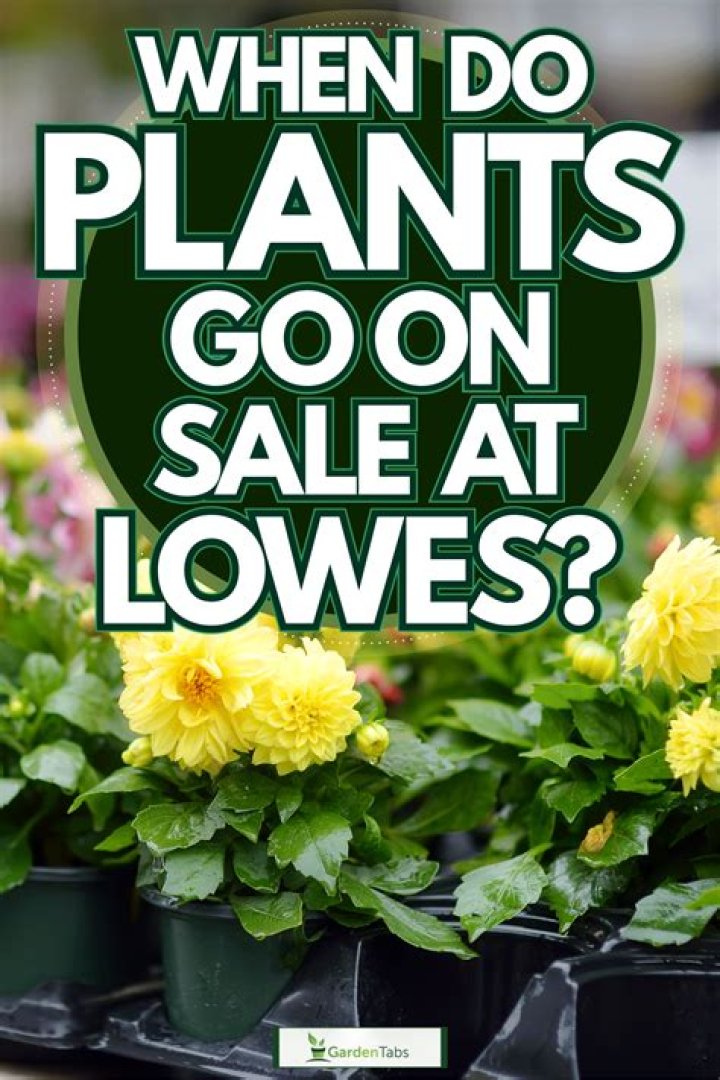 When Do Plants Go On Sale At Lowes