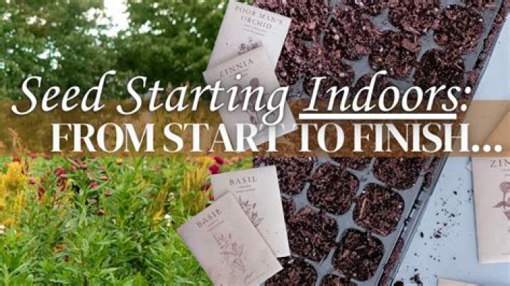 Question: When To Start Seeds Indoors In Ohio
