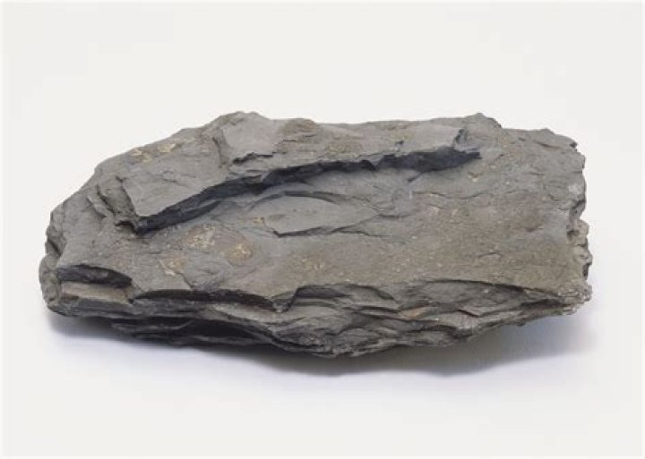Quick Answer: Where Are Shale Rocks Found
