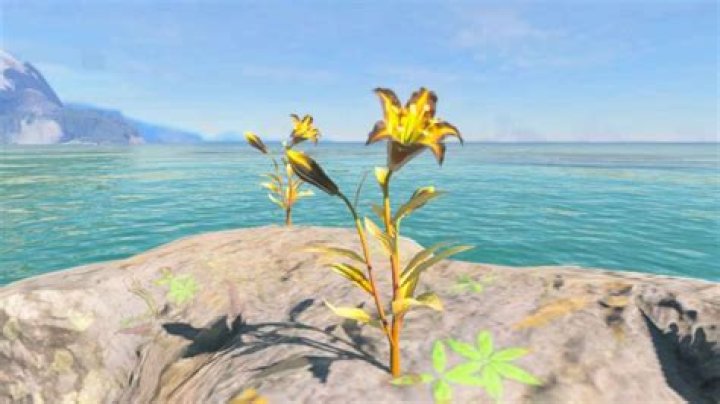 Where to Find Sundelion in Tears of the Kingdom