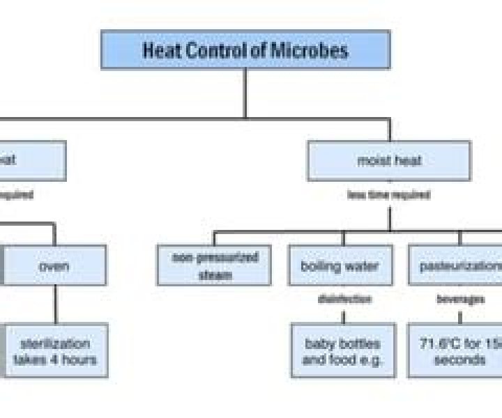 Quick Answer: Which Best Describes How Heat Controls Microbes