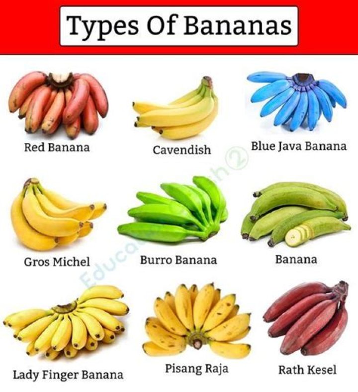 Which color banana would you rather eat? The choice may be more important than you know