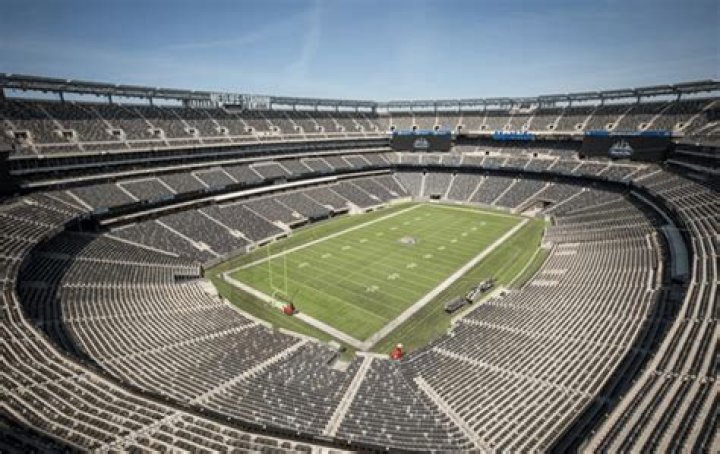 Which NFL Stadiums Have Turf: A Comprehensive Guide