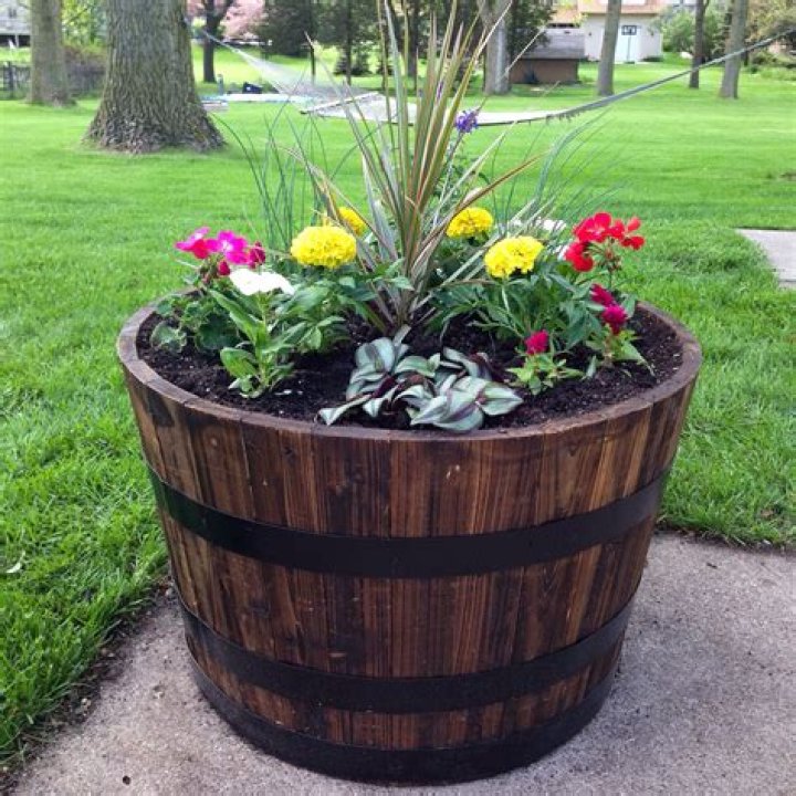 Transform Your Garden With A Whiskey Barrel Planter