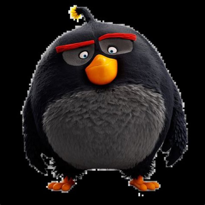 Question: Who Plays Bomb In Angry Birds