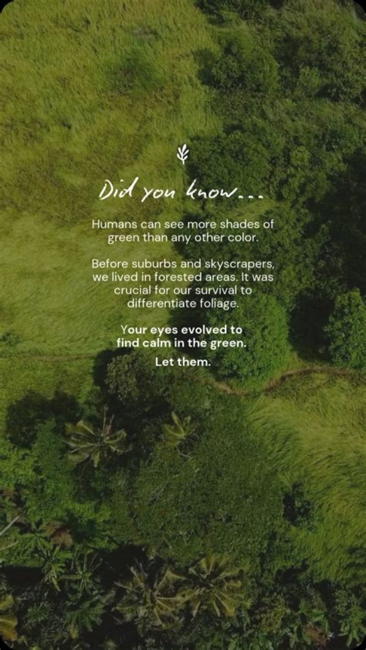 Question: Why Do We See More Shades Of Green