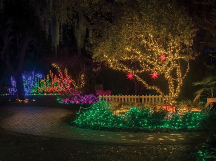 Winter Wonderland at Heathcote Botanical Gardens