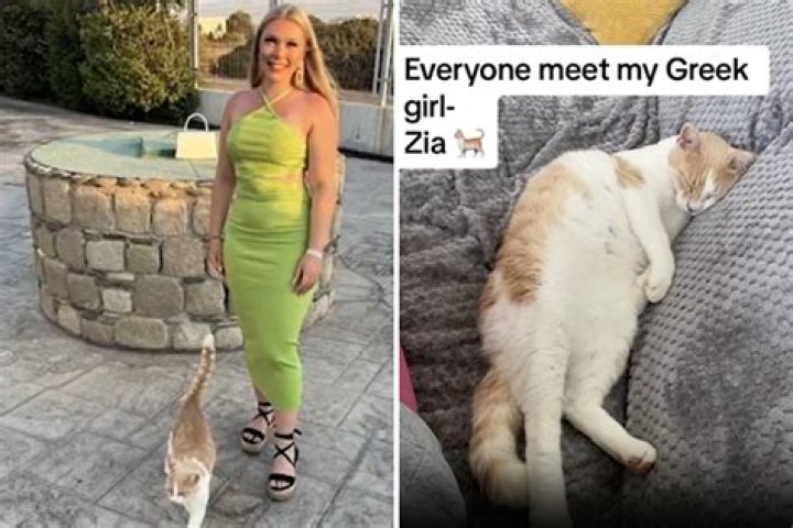 Woman on Vacation Feeds Stray Cat, Then Pays Over $1,000 To Bring Her Home