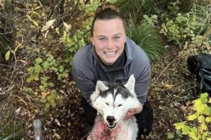 Woman mistakes Siberian Husky dog for wolf and slaughters it – then brags about it on the internet