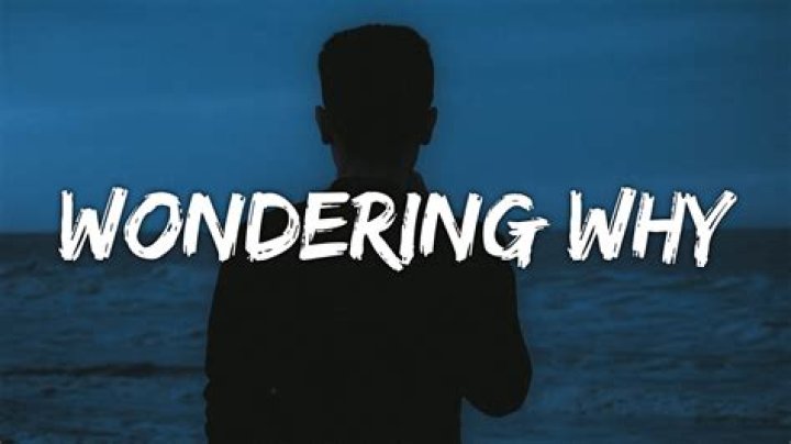 Wondering why your old Instagram videos are suddenly mute? Here's the reason – India TV